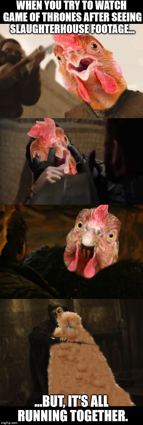 You Can Never Unsee It. | WHEN YOU TRY TO WATCH GAME OF THRONES AFTER SEEING SLAUGHTERHOUSE FOOTAGE... ...BUT, IT'S ALL RUNNING TOGETHER. | image tagged in got chickens | made w/ Imgflip meme maker