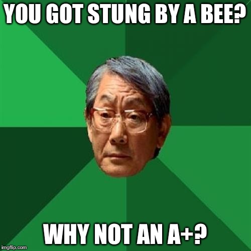 High Expectations Asian Father | YOU GOT STUNG BY A BEE? WHY NOT AN A+? | image tagged in memes,high expectations asian father | made w/ Imgflip meme maker