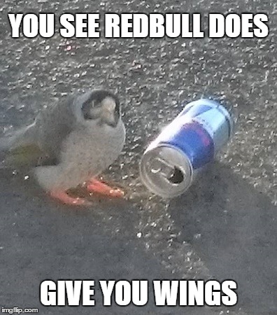 redbull gives you wings | YOU SEE REDBULL DOES; GIVE YOU WINGS | image tagged in redbull | made w/ Imgflip meme maker