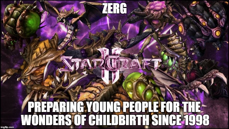 existence | ZERG; PREPARING YOUNG PEOPLE FOR THE WONDERS OF CHILDBIRTH SINCE 1998 | image tagged in starcraft,pc gaming,birth | made w/ Imgflip meme maker