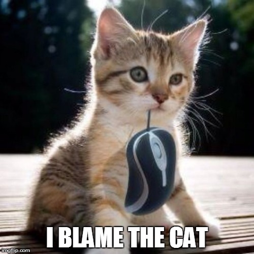Cat with computer mouse | I BLAME THE CAT | image tagged in cat with computer mouse | made w/ Imgflip meme maker