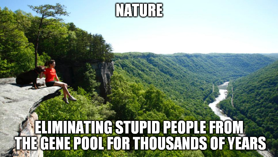 Nature and stupidity | NATURE; ELIMINATING STUPID PEOPLE FROM THE GENE POOL FOR THOUSANDS OF YEARS | image tagged in stupidity | made w/ Imgflip meme maker