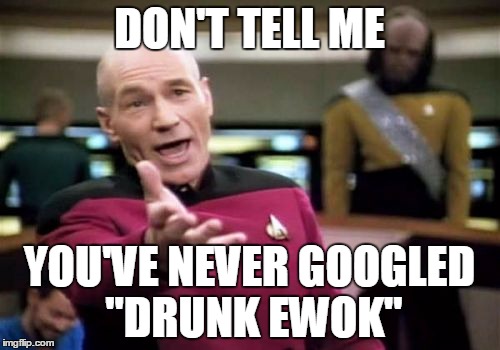 Picard Wtf Meme | DON'T TELL ME YOU'VE NEVER GOOGLED "DRUNK EWOK" | image tagged in memes,picard wtf | made w/ Imgflip meme maker