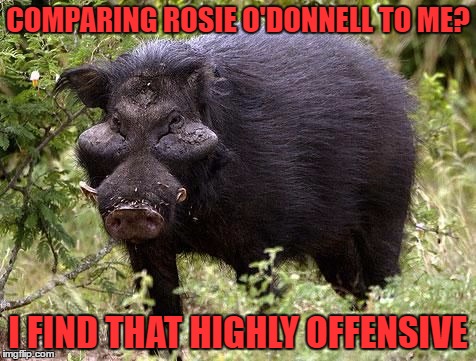 giant forest hog | COMPARING ROSIE O'DONNELL TO ME? I FIND THAT HIGHLY OFFENSIVE | image tagged in rosie o'donnell | made w/ Imgflip meme maker