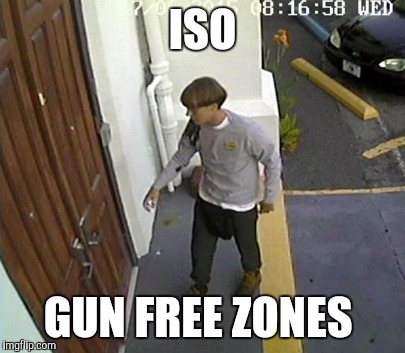 ISO; GUN FREE ZONES | image tagged in crazed gunman | made w/ Imgflip meme maker