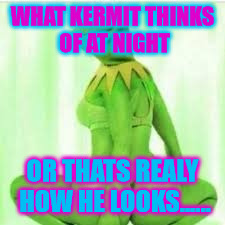 Kermit the frog | WHAT KERMIT THINKS OF AT NIGHT; OR THATS REALY HOW HE LOOKS...... | image tagged in kermit | made w/ Imgflip meme maker