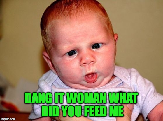 DANG IT WOMAN WHAT DID YOU FEED ME | made w/ Imgflip meme maker