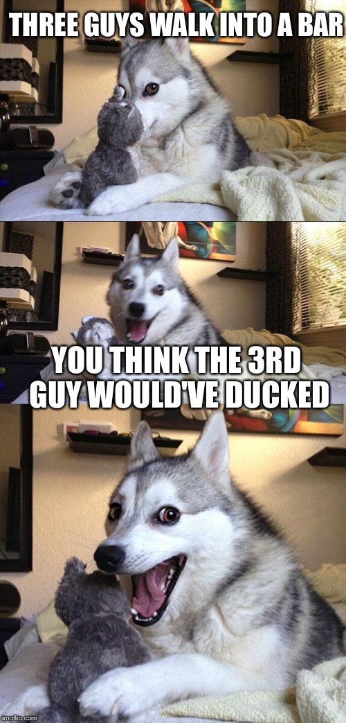 Bad Pun Dog | THREE GUYS WALK INTO A BAR; YOU THINK THE 3RD GUY WOULD'VE DUCKED | image tagged in memes,bad pun dog | made w/ Imgflip meme maker