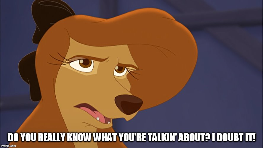 Do You Really Know What You're Talkin' About? | DO YOU REALLY KNOW WHAT YOU'RE TALKIN' ABOUT? I DOUBT IT! | image tagged in dixie bored,memes,disney,the fox and the hound 2,reba mcentire,dog | made w/ Imgflip meme maker