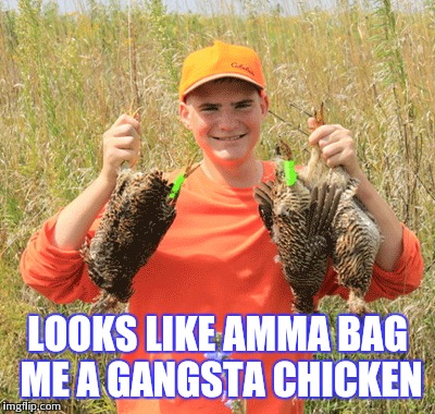 LOOKS LIKE AMMA BAG ME A GANGSTA CHICKEN | made w/ Imgflip meme maker