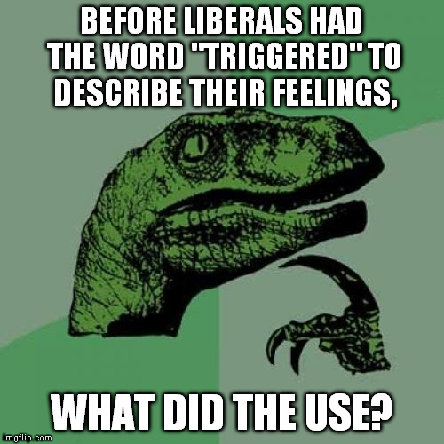 Philosoraptor Meme | BEFORE LIBERALS HAD THE WORD "TRIGGERED" TO DESCRIBE THEIR FEELINGS, WHAT DID THE USE? | image tagged in memes,philosoraptor | made w/ Imgflip meme maker