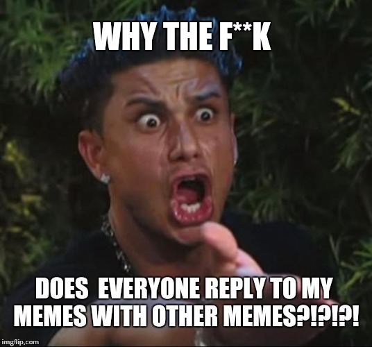 DJ Pauly D | WHY THE F**K; DOES 
EVERYONE REPLY TO MY MEMES WITH OTHER MEMES?!?!?! | image tagged in memes,dj pauly d | made w/ Imgflip meme maker