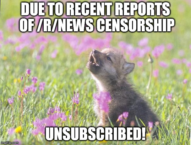 Baby Insanity Wolf | DUE TO RECENT REPORTS OF /R/NEWS CENSORSHIP; UNSUBSCRIBED! | image tagged in memes,baby insanity wolf,AdviceAnimals | made w/ Imgflip meme maker