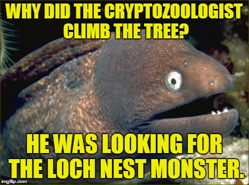 WHY DID THE CRYPTOZOOLOGIST CLIMB THE TREE? HE WAS LOOKING FOR THE LOCH NEST MONSTER. | made w/ Imgflip meme maker