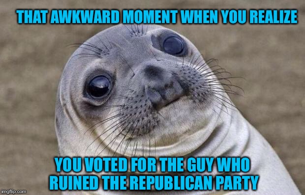 Awkward Moment Sealion Meme | THAT AWKWARD MOMENT WHEN YOU REALIZE YOU VOTED FOR THE GUY WHO RUINED THE REPUBLICAN PARTY | image tagged in memes,awkward moment sealion | made w/ Imgflip meme maker