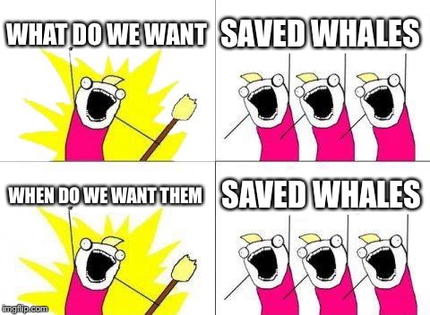 What Do We Want | WHAT DO WE WANT; SAVED WHALES; WHEN DO WE WANT THEM; SAVED WHALES | image tagged in memes,what do we want | made w/ Imgflip meme maker