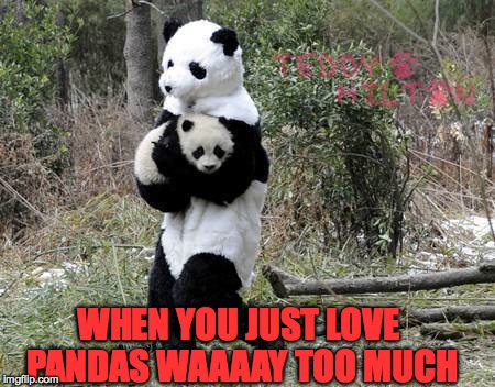 WHEN YOU JUST LOVE PANDAS WAAAAY TOO MUCH | made w/ Imgflip meme maker