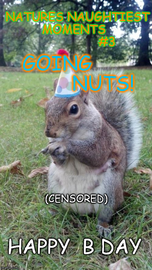 Super Birthday Squirrel | GOING                NUTS! NATURES NAUGHTIEST 
MOMENTS



                #3; (CENSORED); HAPPY  B DAY | image tagged in memes,super birthday squirrel | made w/ Imgflip meme maker