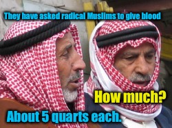 Show your support against Terrorism.  | They have asked radical Muslims to give blood; How much? About 5 quarts each. | image tagged in meme,raducdk muslim terrorist,give blood | made w/ Imgflip meme maker