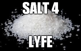The internet | SALT 4; LYFE | image tagged in salty | made w/ Imgflip meme maker