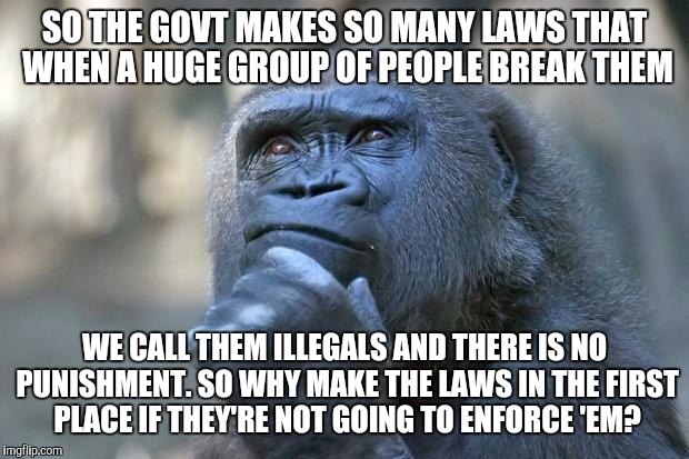 that is the question | SO THE GOVT MAKES SO MANY LAWS THAT WHEN A HUGE GROUP OF PEOPLE BREAK THEM; WE CALL THEM ILLEGALS AND THERE IS NO PUNISHMENT. SO WHY MAKE THE LAWS IN THE FIRST PLACE IF THEY'RE NOT GOING TO ENFORCE 'EM? | image tagged in that is the question | made w/ Imgflip meme maker