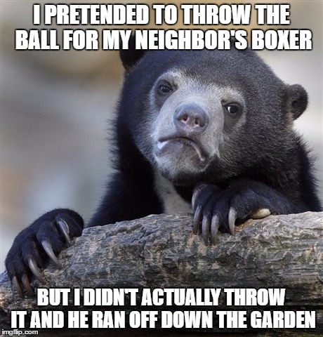 Confession Bear Meme | I PRETENDED TO THROW THE BALL FOR MY NEIGHBOR'S BOXER; BUT I DIDN'T ACTUALLY THROW IT AND HE RAN OFF DOWN THE GARDEN | image tagged in memes,confession bear | made w/ Imgflip meme maker