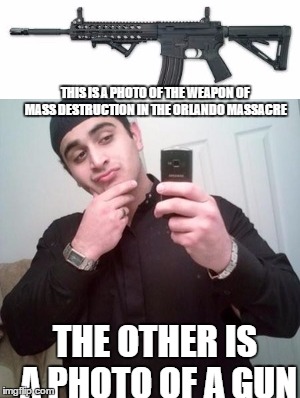The Real Weapon of Mass Destruction | THIS IS A PHOTO OF THE WEAPON OF MASS DESTRUCTION IN THE ORLANDO MASSACRE; THE OTHER IS A PHOTO OF A GUN | image tagged in orlando,terrorism,nightclub shooting,news,isis,guns | made w/ Imgflip meme maker