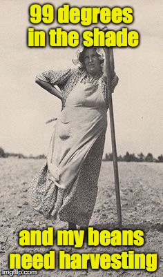 Woman Farmer | 99 degrees in the shade and my beans need harvesting | image tagged in woman farmer | made w/ Imgflip meme maker