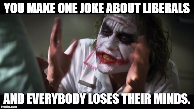 And everybody loses their minds | YOU MAKE ONE JOKE ABOUT LIBERALS; AND EVERYBODY LOSES THEIR MINDS. | image tagged in memes,and everybody loses their minds | made w/ Imgflip meme maker