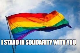 Rainbow flag | I STAND IN SOLIDARITY WITH YOU | image tagged in rainbow flag | made w/ Imgflip meme maker