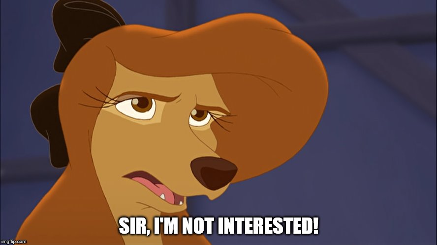 Sir! I'm Not Interested! | SIR, I'M NOT INTERESTED! | image tagged in dixie bored,memes,disney,the fox and the hound 2,reba mcentire,dog | made w/ Imgflip meme maker