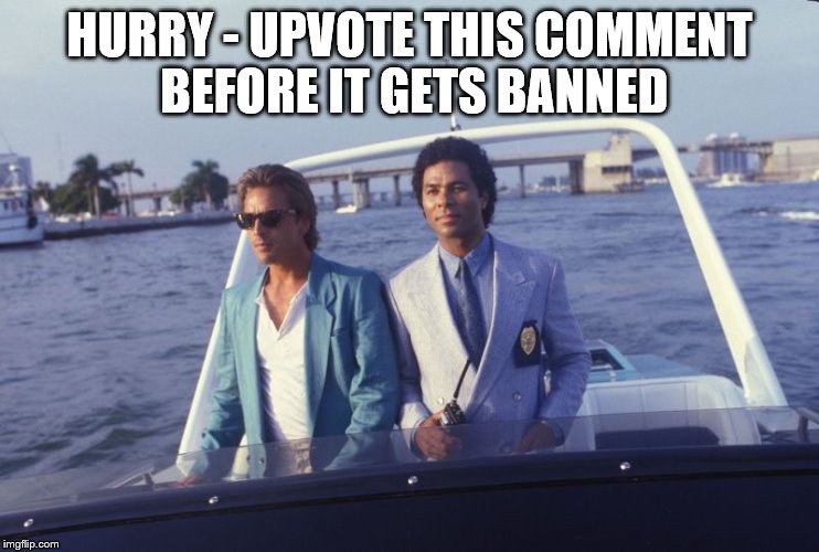 miami vice boat | HURRY - UPVOTE THIS COMMENT BEFORE IT GETS BANNED | image tagged in miami vice boat | made w/ Imgflip meme maker