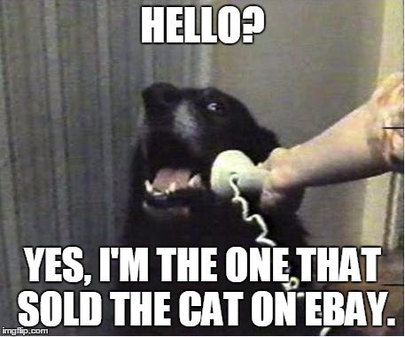 What do you mean  that's illegal? | HELLO? YES, I'M THE ONE THAT SOLD THE CAT ON EBAY. | image tagged in yes this is dog | made w/ Imgflip meme maker