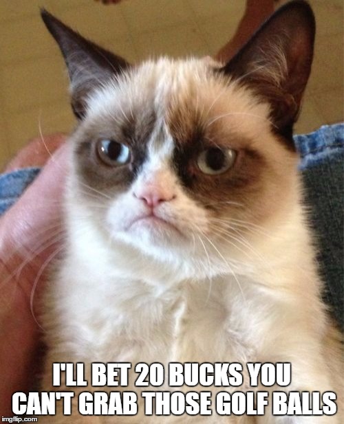 Grumpy Cat Meme | I'LL BET 20 BUCKS YOU CAN'T GRAB THOSE GOLF BALLS | image tagged in memes,grumpy cat | made w/ Imgflip meme maker