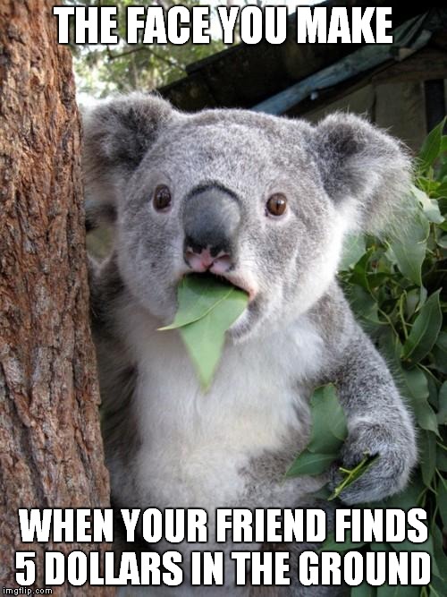 Surprised Koala | THE FACE YOU MAKE; WHEN YOUR FRIEND FINDS 5 DOLLARS IN THE GROUND | image tagged in memes,surprised koala | made w/ Imgflip meme maker