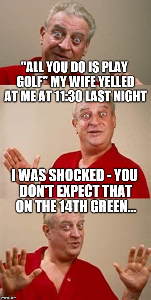 A man has to have a hobby... | "ALL YOU DO IS PLAY GOLF" MY WIFE YELLED AT ME AT 11:30 LAST NIGHT; I WAS SHOCKED - YOU DON'T EXPECT THAT ON THE 14TH GREEN... | image tagged in bad pun dangerfield,memes,golf,marriage,sport | made w/ Imgflip meme maker