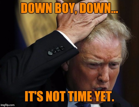 DOWN BOY, DOWN... IT'S NOT TIME YET. | made w/ Imgflip meme maker