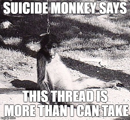 SUICIDE MONKEY SAYS; THIS THREAD IS MORE THAN I CAN TAKE | image tagged in suicide monkey | made w/ Imgflip meme maker