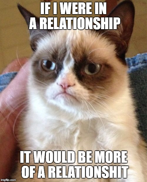 Grumpy Cat | IF I WERE IN A RELATIONSHIP; IT WOULD BE MORE OF A RELATIONSHIT | image tagged in memes,grumpy cat | made w/ Imgflip meme maker