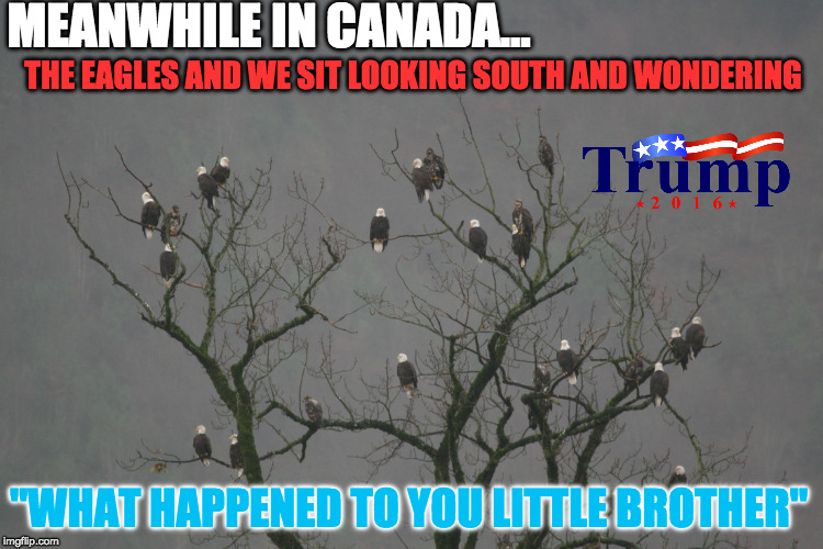 MEANWHILE IN CANADA... THE EAGLES AND WE SIT LOOKING SOUTH AND WONDERING; "WHAT HAPPENED TO YOU LITTLE BROTHER" | made w/ Imgflip meme maker