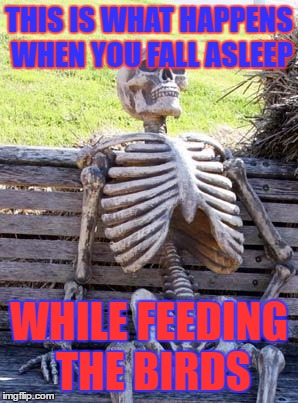 Waiting Skeleton Meme | THIS IS WHAT HAPPENS WHEN YOU FALL ASLEEP; WHILE FEEDING THE BIRDS | image tagged in memes,waiting skeleton | made w/ Imgflip meme maker