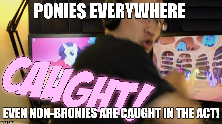 markiplier caught with ponies | PONIES EVERYWHERE; EVEN NON-BRONIES ARE CAUGHT IN THE ACT! | image tagged in markiplier caught with ponies | made w/ Imgflip meme maker