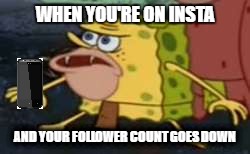 Spongegar | WHEN YOU'RE ON INSTA; AND YOUR FOLLOWER COUNT GOES DOWN | image tagged in spongegar meme | made w/ Imgflip meme maker
