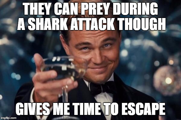 Leonardo Dicaprio Cheers Meme | THEY CAN PREY DURING A SHARK ATTACK THOUGH GIVES ME TIME TO ESCAPE | image tagged in memes,leonardo dicaprio cheers | made w/ Imgflip meme maker