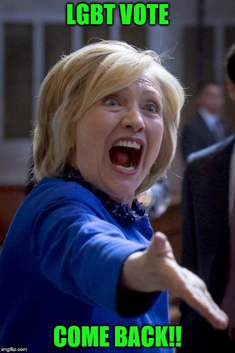 WTF Hillary | LGBT VOTE; COME BACK!! | image tagged in wtf hillary | made w/ Imgflip meme maker