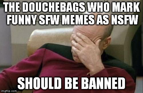 Captain Picard Facepalm Meme | THE DOUCHEBAGS WHO MARK FUNNY SFW MEMES AS NSFW SHOULD BE BANNED | image tagged in memes,captain picard facepalm | made w/ Imgflip meme maker