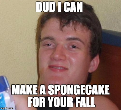 10 Guy Meme | DUD I CAN MAKE A SPONGECAKE FOR YOUR FALL | image tagged in memes,10 guy | made w/ Imgflip meme maker