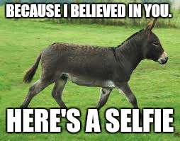 BECAUSE I BELIEVED IN YOU. HERE'S A SELFIE | image tagged in donkey,fool,believe,i want to believe,missing | made w/ Imgflip meme maker