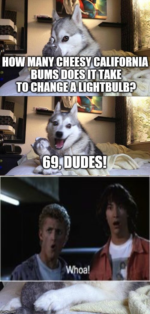 Bad Pun Dog Bill & Ted | HOW MANY CHEESY CALIFORNIA BUMS DOES IT TAKE TO CHANGE A LIGHTBULB? 69, DUDES! | image tagged in memes,bad pun dog,bill and ted,inferno390 | made w/ Imgflip meme maker