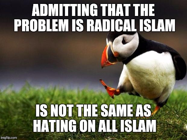 Unpopular Opinion Puffin Meme | ADMITTING THAT THE PROBLEM IS RADICAL ISLAM; IS NOT THE SAME AS HATING ON ALL ISLAM | image tagged in memes,unpopular opinion puffin | made w/ Imgflip meme maker